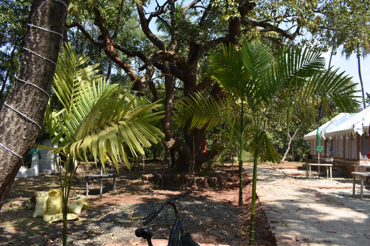 The Tent Resort,Malvan-Tarkarli - Tap to explore photos