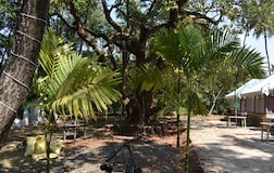 Outdoors