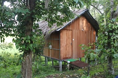 Local Narratives Lotus Jewel Treehouse, Wayanad