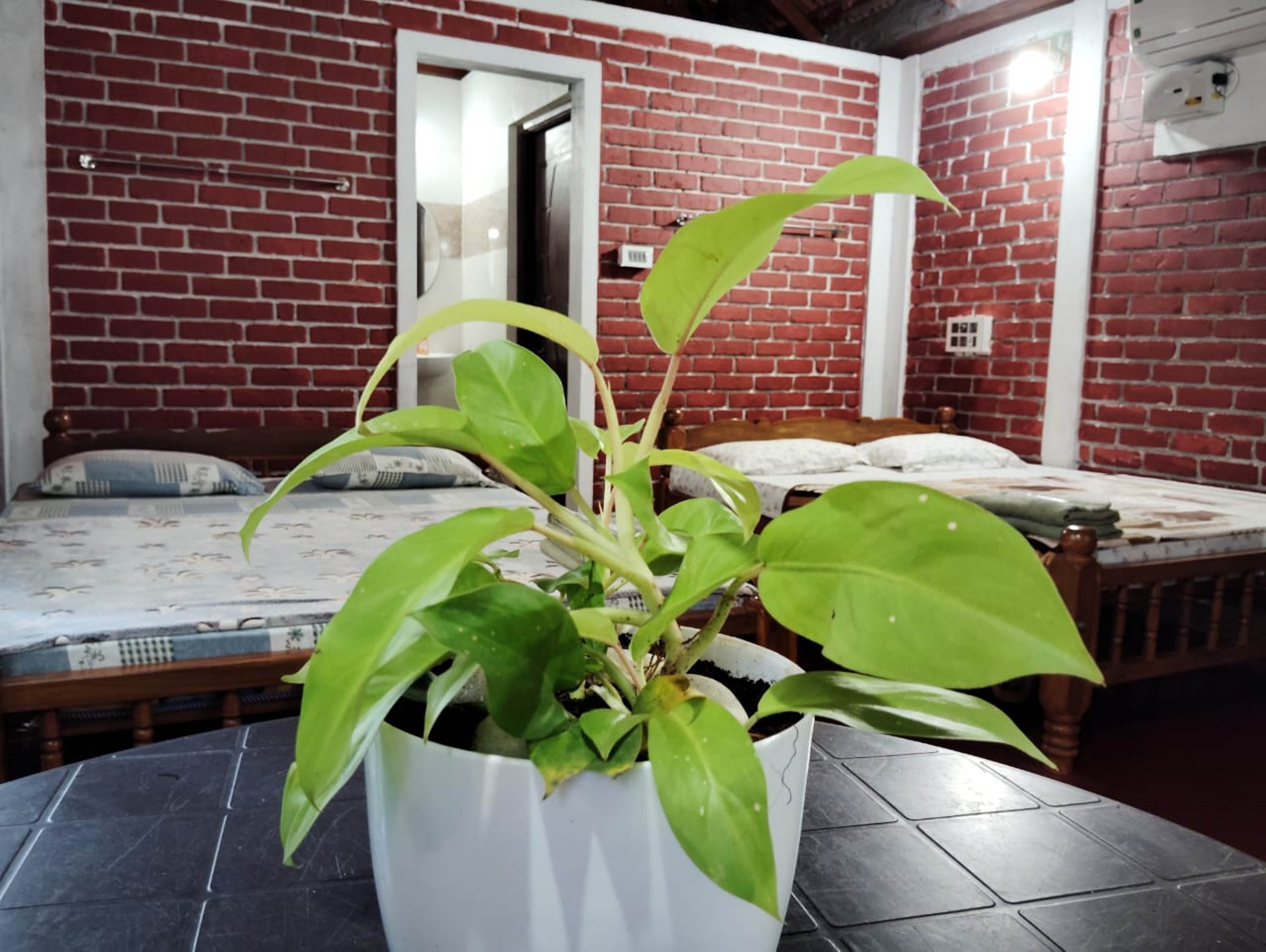Gruham Malpe Homestay - Tap to explore photos