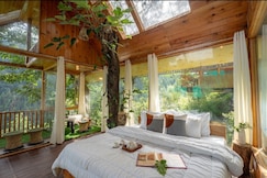 Glass Treehouse Tandi Village, Jibhi