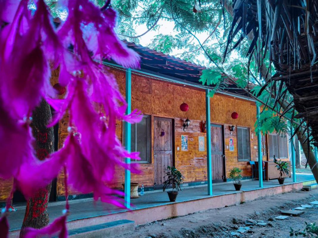 Gypsy Hostel DORMS and PRIVATE ROOMS - Tap to explore photos
