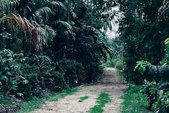 Anya Retreats Nature homestay Coorg, Coorg