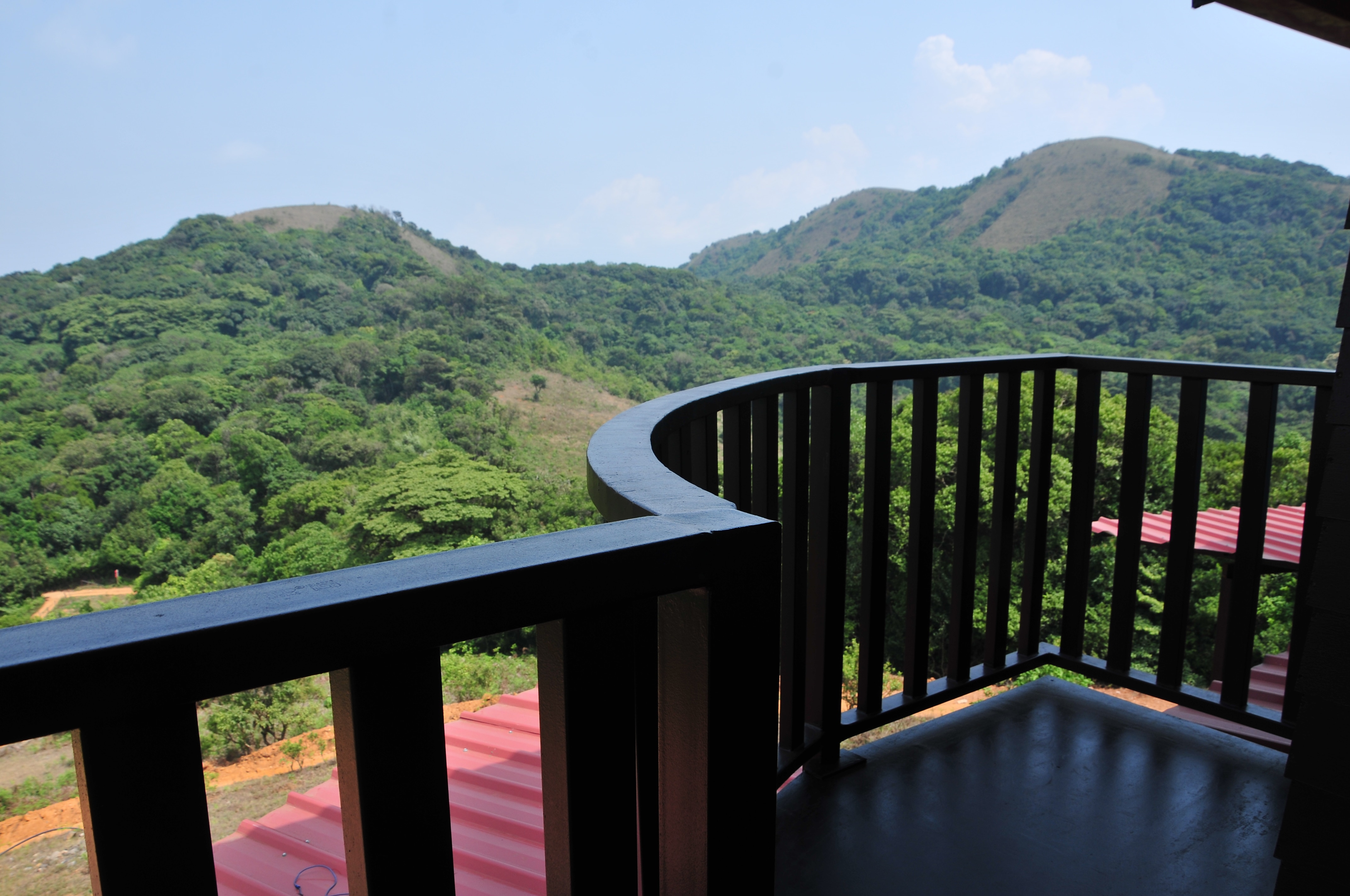 Treehouse Tree house Price, Address & Reviews