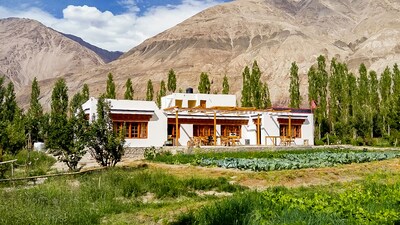 Nubra Ecolodge