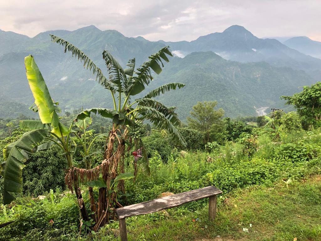 Blue Mountain Homestay - Tap to explore photos