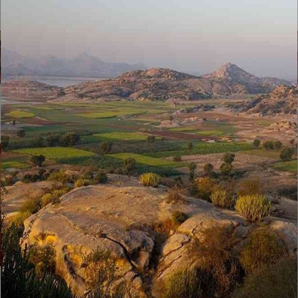 Jawai jungle Safari camp - Tap to explore photos