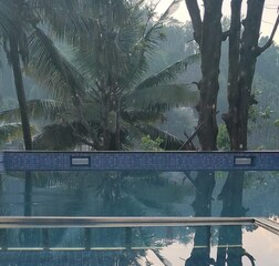 Swimming Pool 1