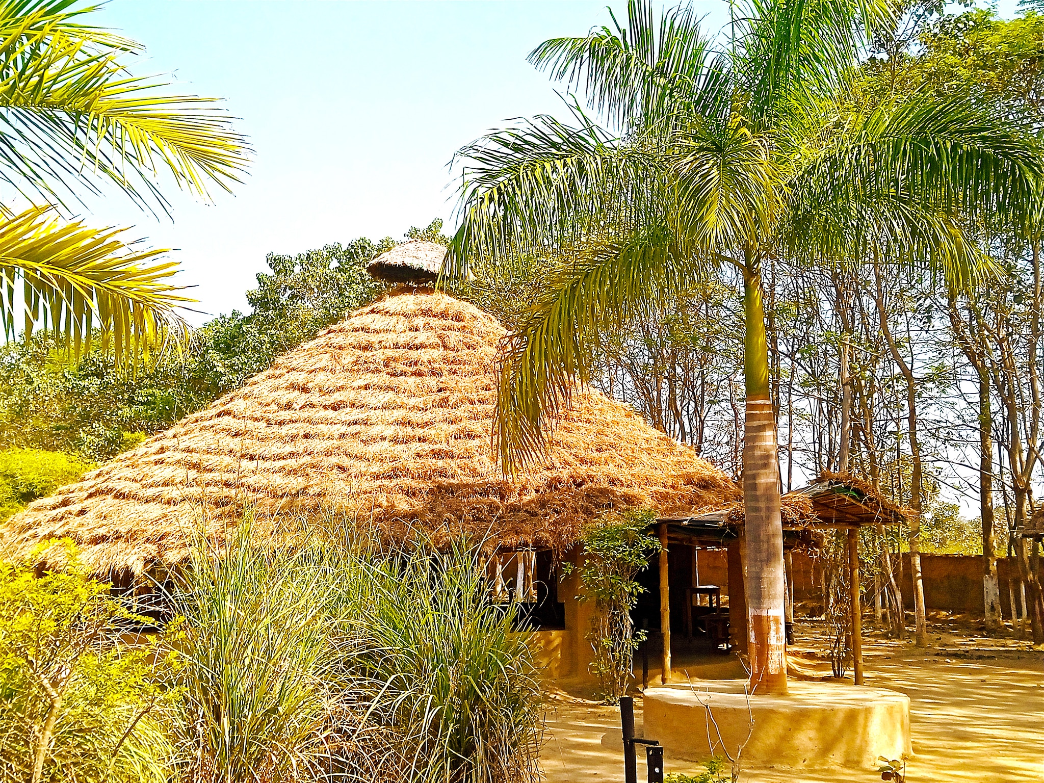 Kanha Jungle Resort - Tap to explore photos