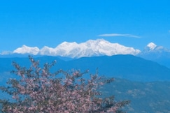 CHYAJALO HOMESTAY, Darjeeling