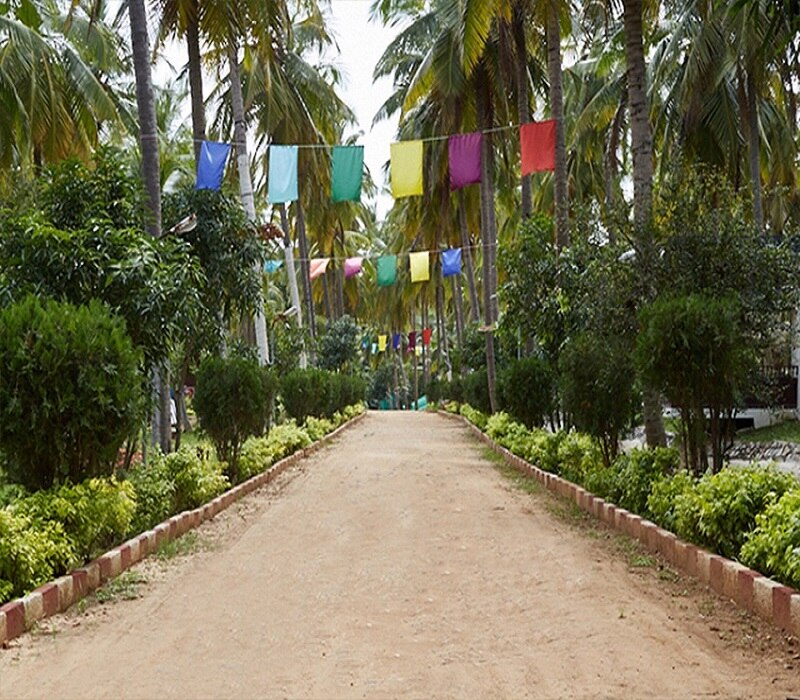 Cassava Retreat - Tap to explore photos