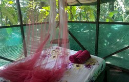 Bungalow with river viwq