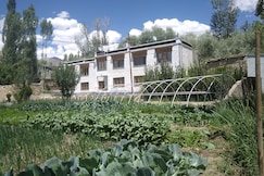 Kushu Guest House | Your Cozy Haven with Personalized Care, Leh