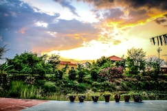 Mahua Tola Tadoba, Chimur