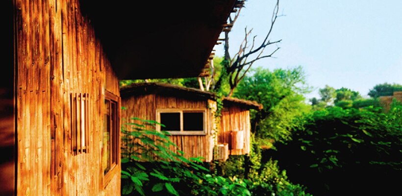 The Tree House Resort Jaipur Price Address Reviews