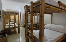 Dormitory Beds