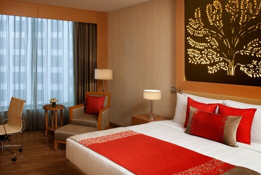 Radisson Blu Hotel New Delhi Dwarka Delhi Hotel Price Address Reviews