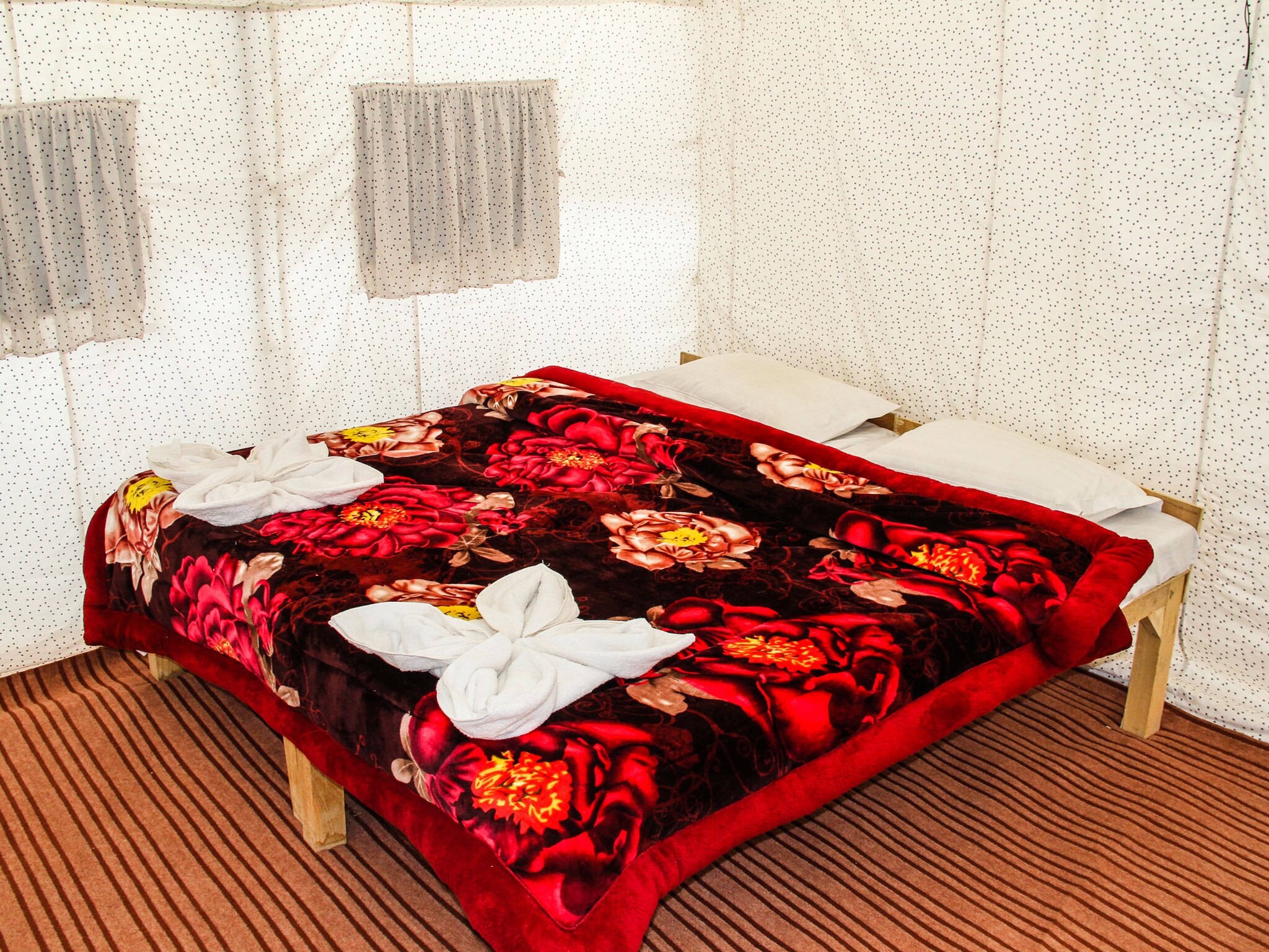 Wild Camp Pangong Pangong Free Cancellation Price Address Reviews