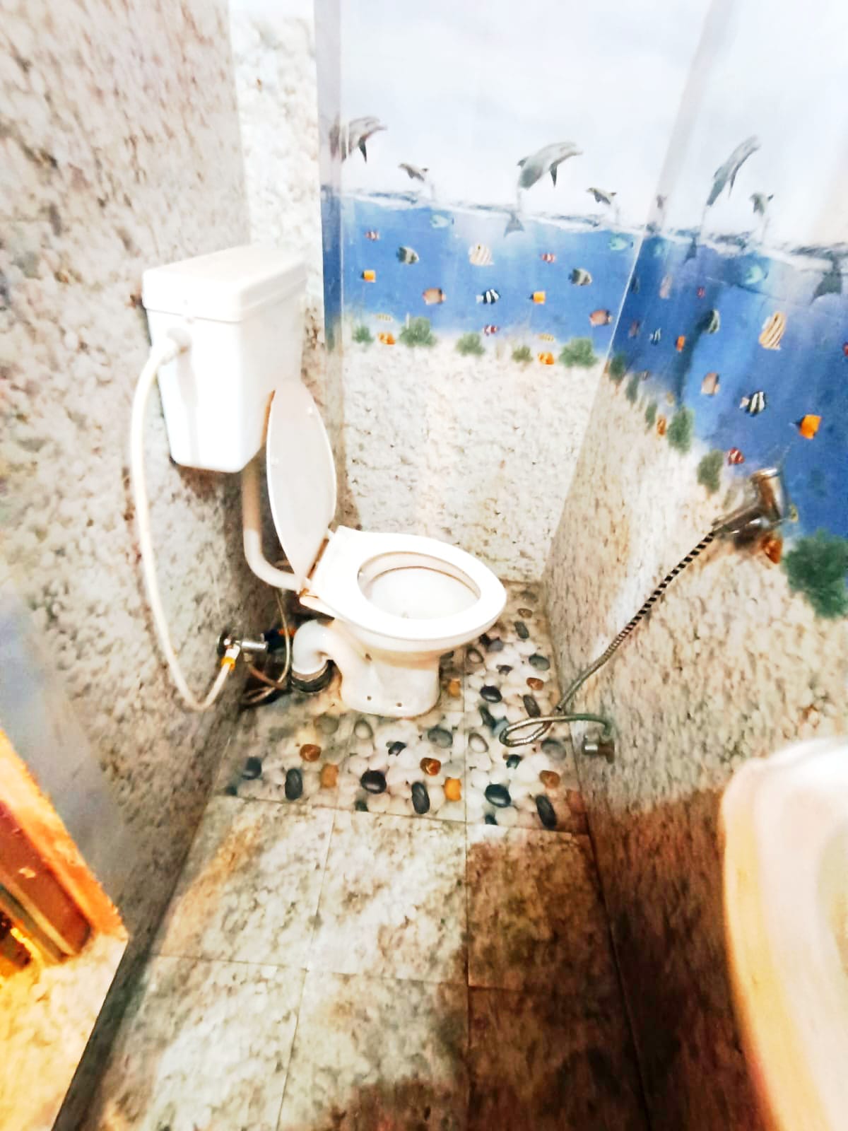 Raunak Villa - Tap to explore photos