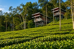 Vythiri Stream View | Cottages in Tea Valleys, Wayanad
