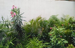 Outdoors