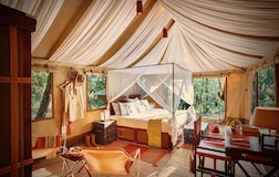 Executive Suite Tent