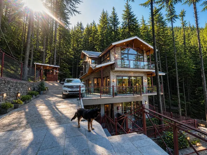 Castle wood Resort & Spa, Manali