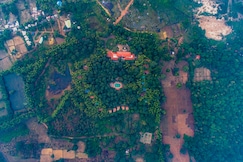 Syna Tiger Resort, Rewa