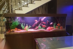 Hotel Aswathy, Kodungallur