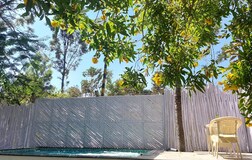 Swimming Pool 1