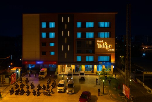 Tulips Grand