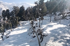 TTN - The Trekker's Nest, Joshimath