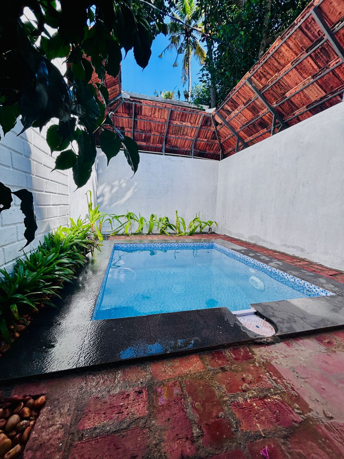 Maarga Homestay | Plunge-pool Rooms - Tap to explore photos