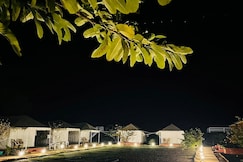 Leopard Valley Ranthambhore, Sawai Madhopur