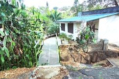 Golden Oriole Stays, Mount Abu