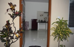 Studio