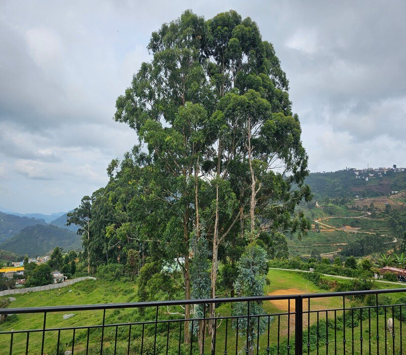 Borneo Kodaikanal - Tap to explore photos