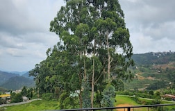 Outdoors