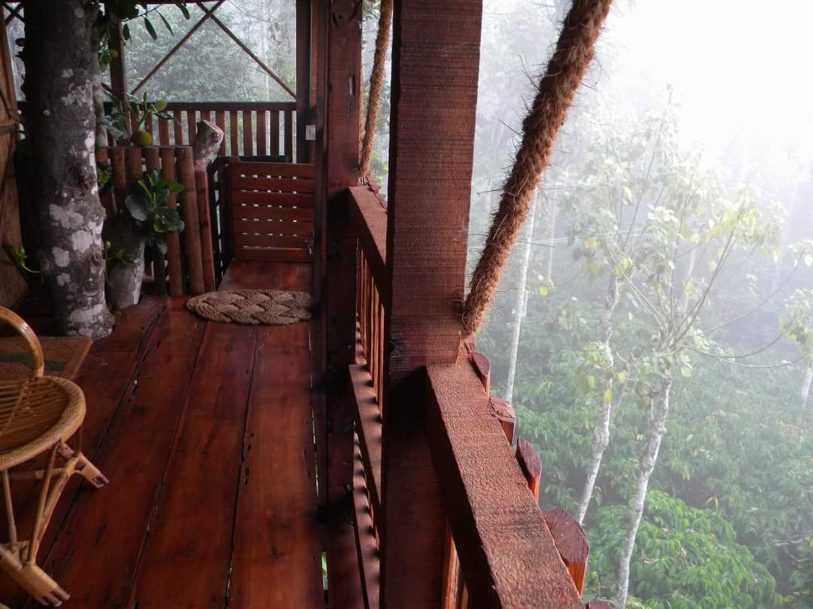 Greens Tree House and Wood House - Tap to explore photos