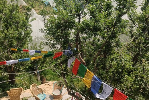 Himalayan Yew Homestay and Camps by StayApart