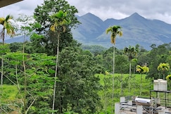 Homely Homestay, Wayanad