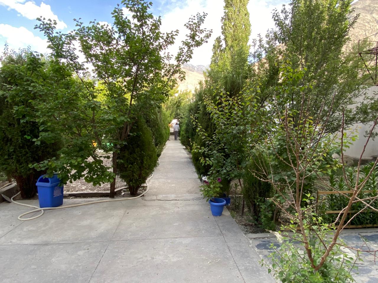 Photo 6