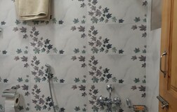 Deluxe Single Bed Room 1