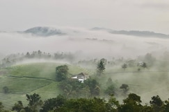 Tea Harmony Villa, Vagamon