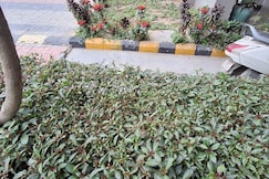 Peaceful & Cozy Retreat in the Heart of the City, Karnal