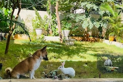 Chill Vibes, Visakhapatnam