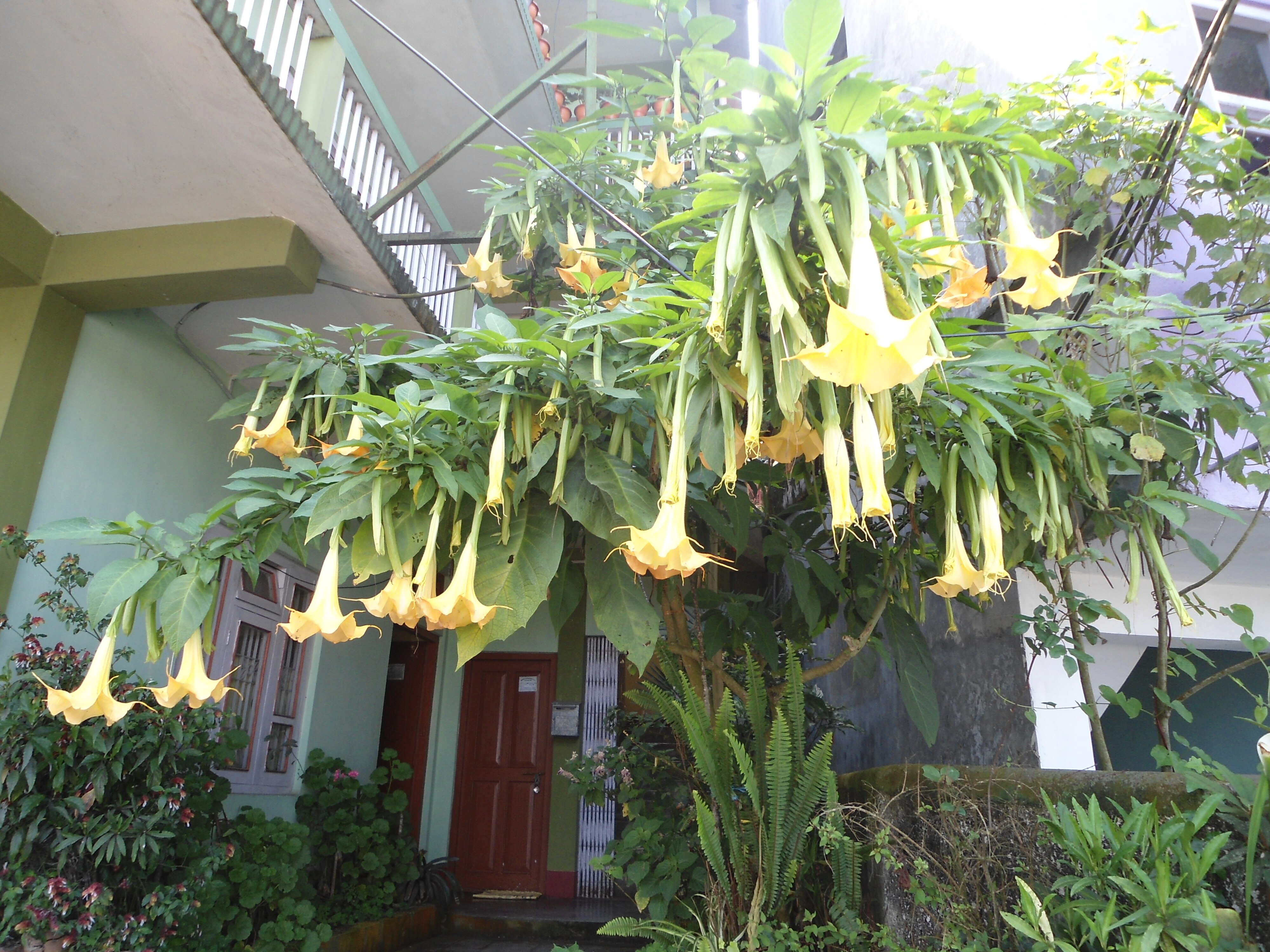 Haamro Ghar Homestay - Tap to explore photos
