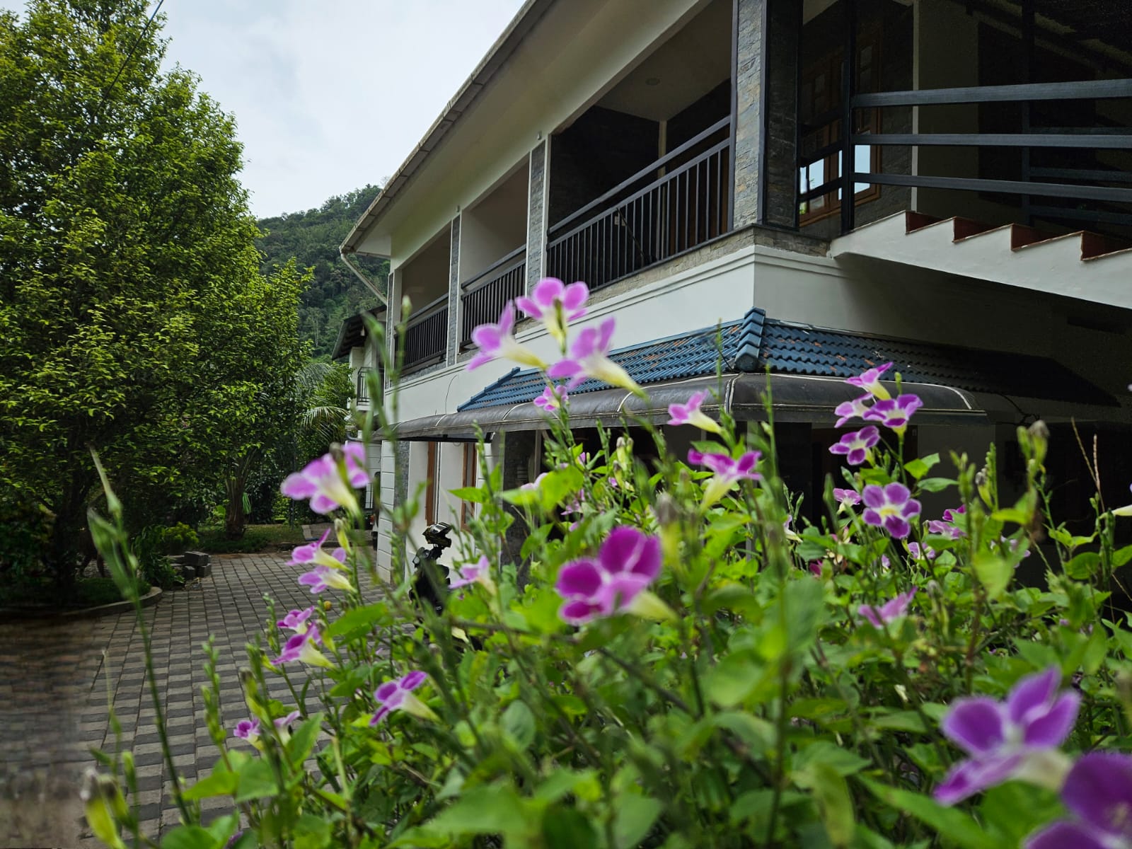 Nidra Homestay - Tap to explore photos