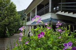 Nidra Homestay, Munnar