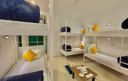 Dormitory Beds